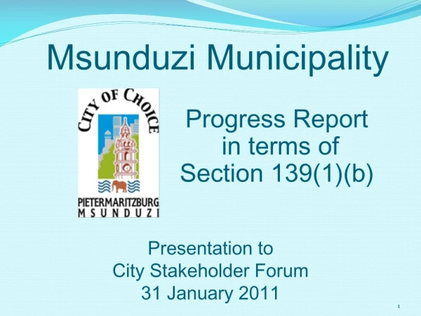 Presentation to City Stakeholder Forum 31 January 2011