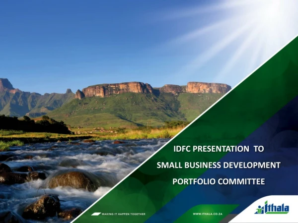 IDFC  PRESENTATION   TO SMALL BUSINESS DEVELOPMENT PORTFOLIO COMMITTEE