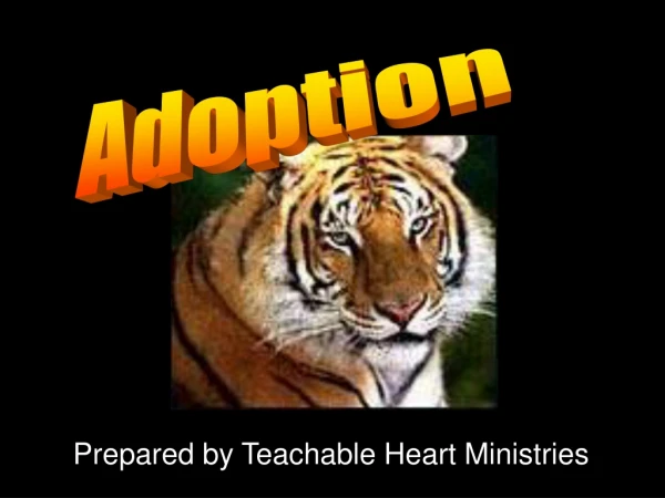 Prepared by Teachable Heart Ministries