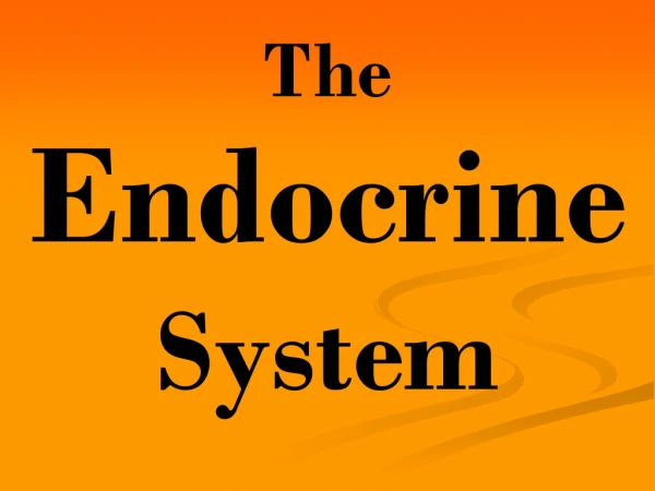 Endocrine  System