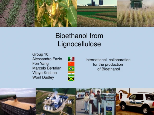 Bioethanol from Lignocellulose