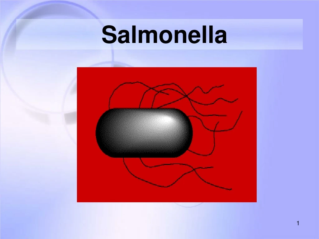 salmonella