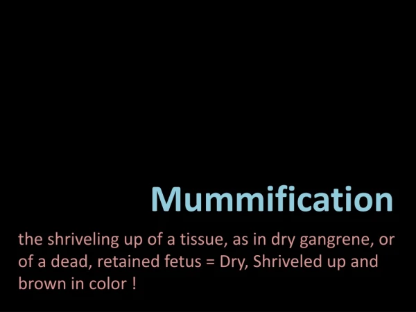 Mummification