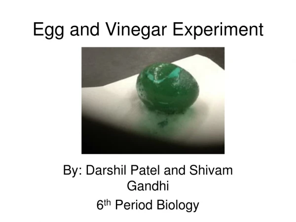 Egg and Vinegar Experiment