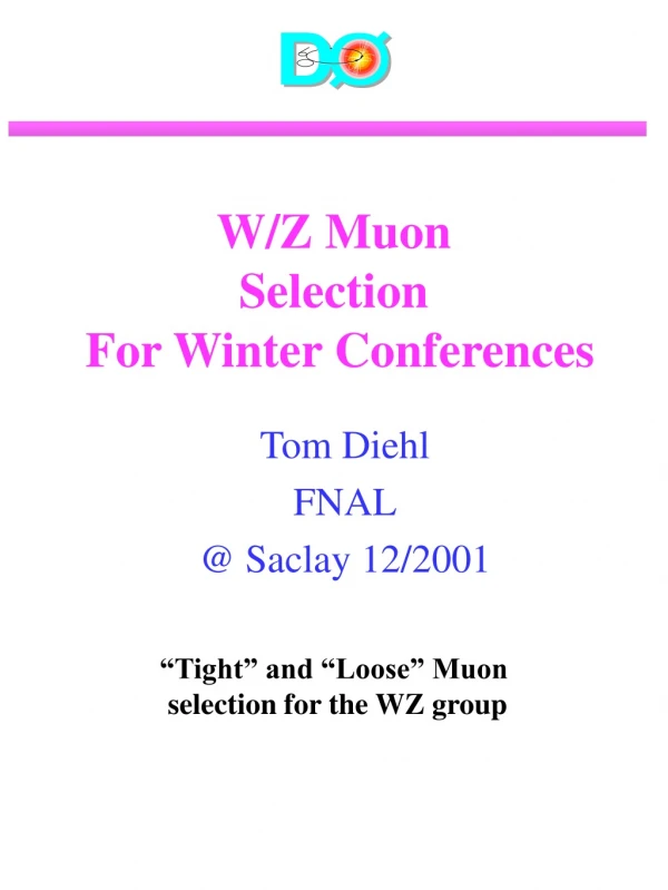 W/Z Muon  Selection  For Winter Conferences