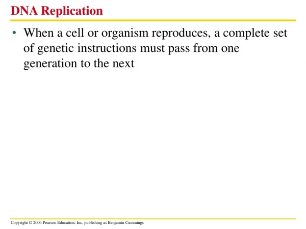 DNA Replication