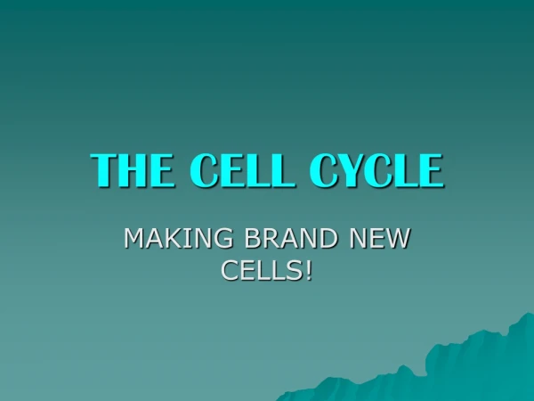 THE CELL CYCLE