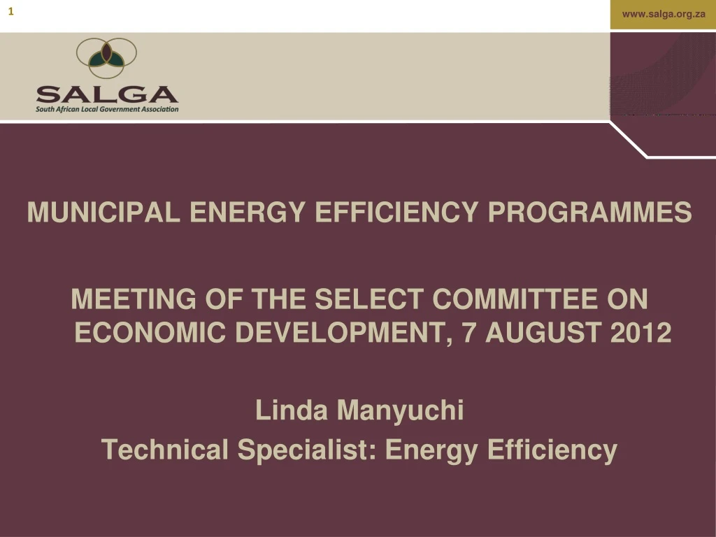 municipal energy efficiency programmes meeting