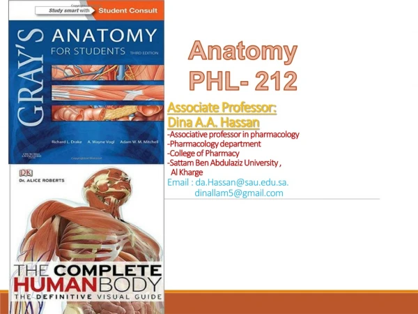 Anatomy  PHL- 212
