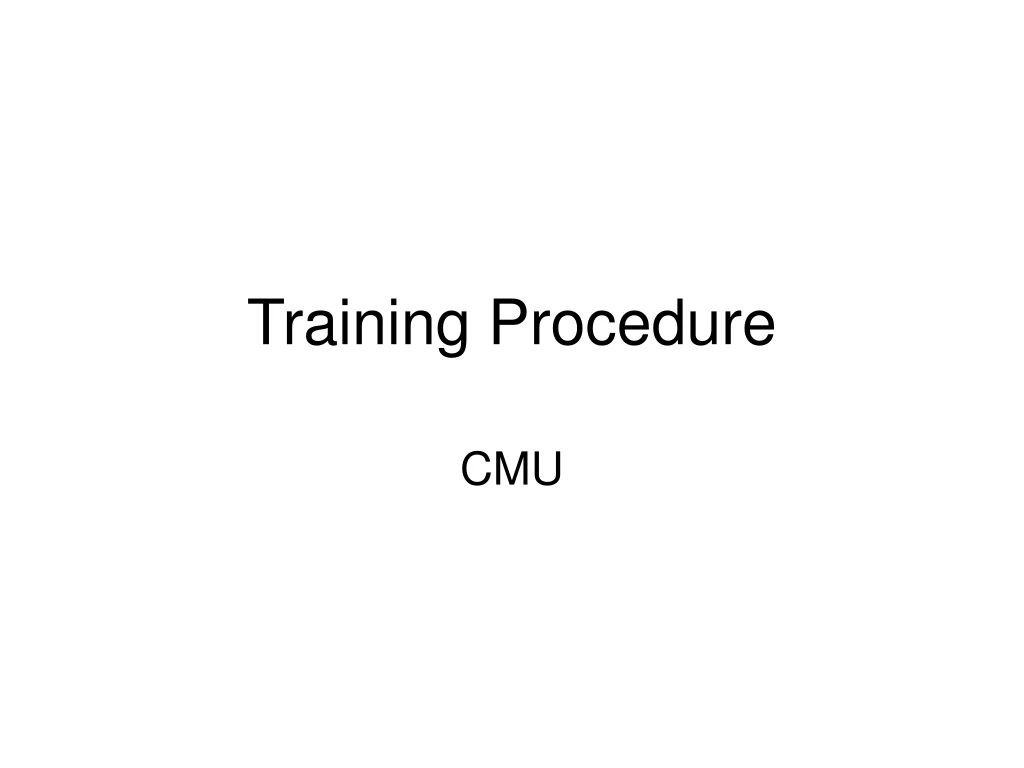 training procedure