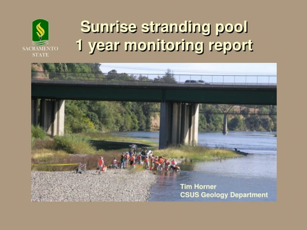 Sunrise stranding pool 1 year monitoring report