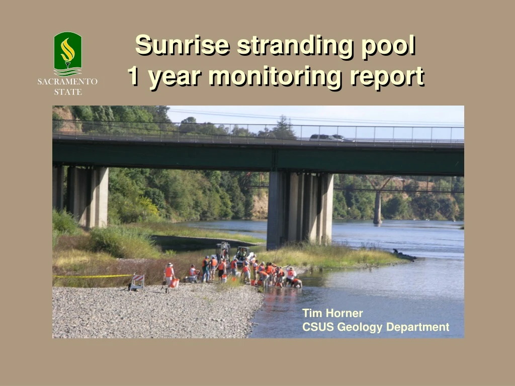 sunrise stranding pool 1 year monitoring report