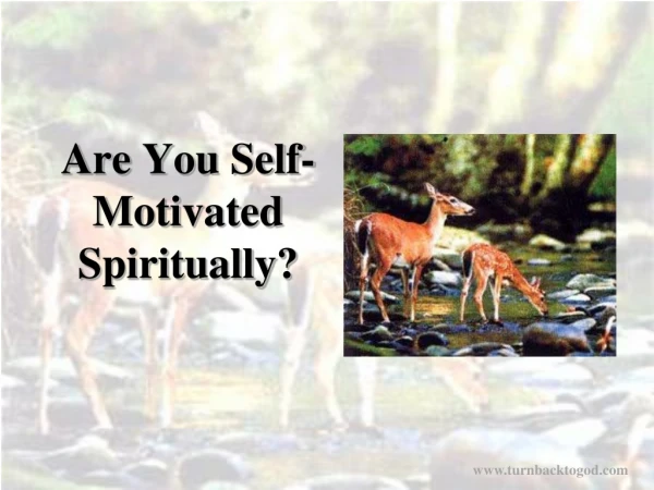 Are You Self-Motivated  Spiritually?