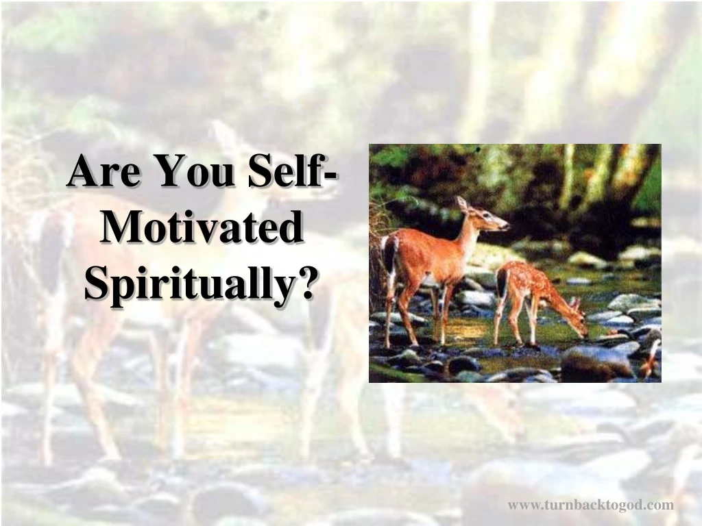 are you self motivated spiritually