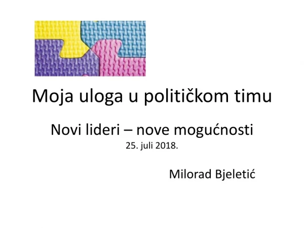 Moja uloga u političkom timu