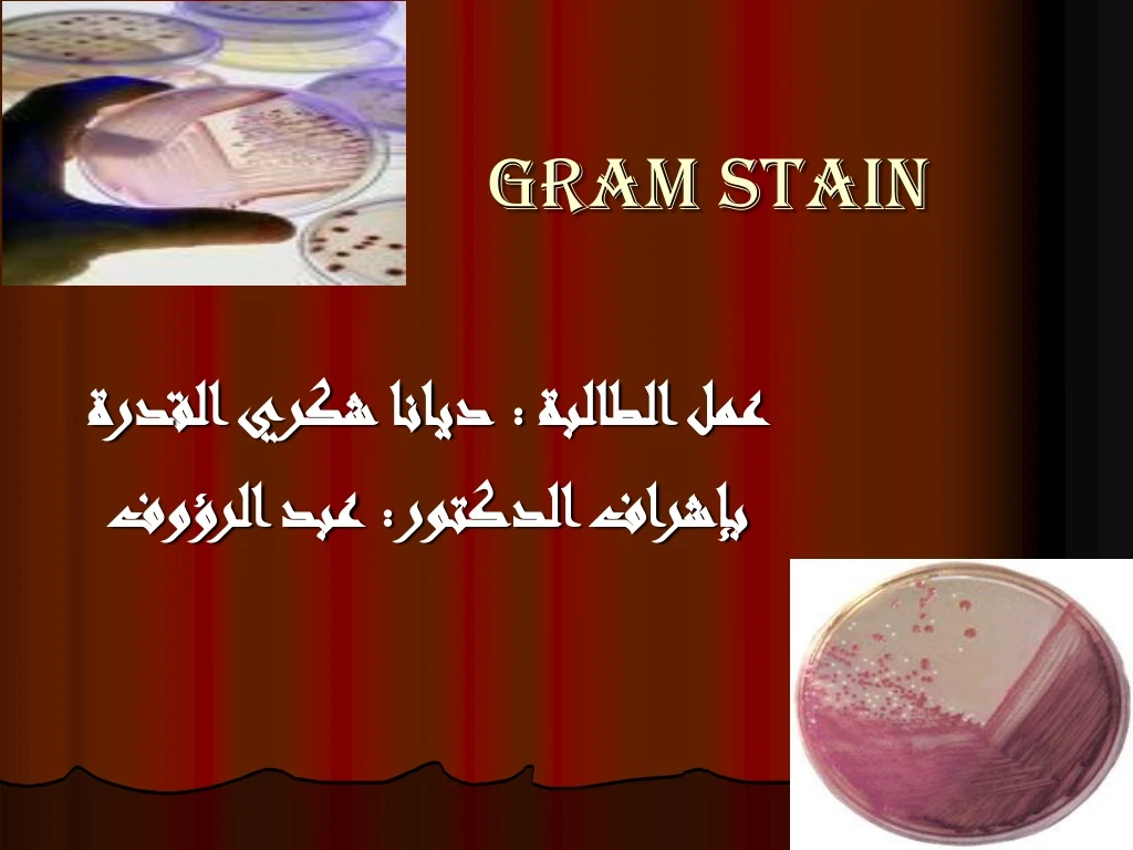 gram stain