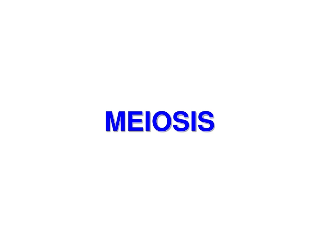 meiosis