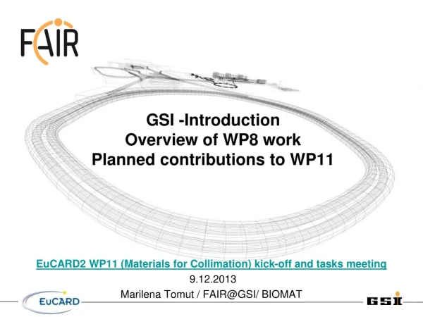 GSI -Introduction Overview of WP8 work   Planned contributions to WP11