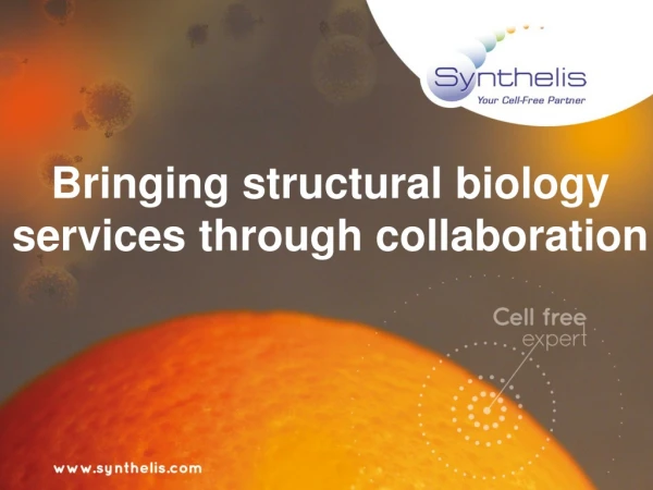 Bringing structural biology  services through collaboration