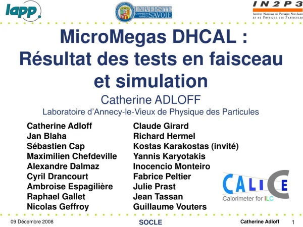 MicroMegas DHCAL :  Résultat des tests en faisceau et simulation