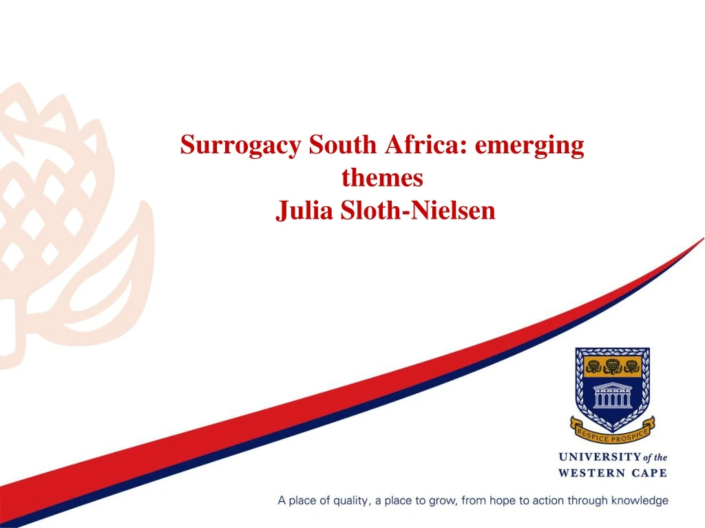 surrogacy south africa emerging themes julia sloth nielsen