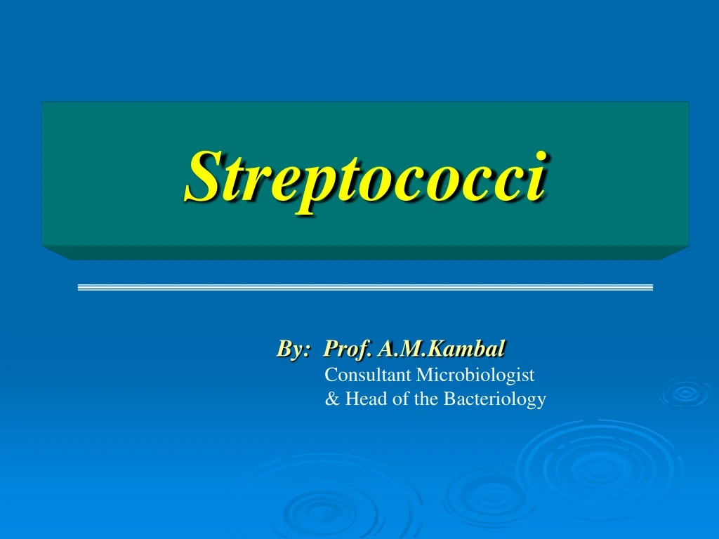 streptococci