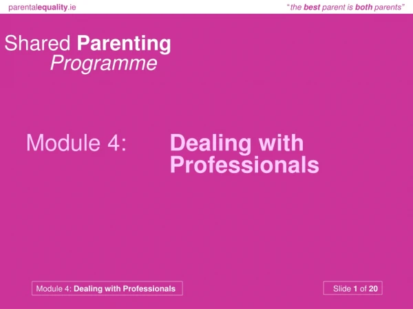 Shared  Parenting Programme Module 4:  	Dealing with 							Professionals