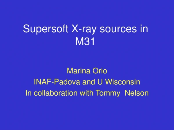 Supersoft X-ray sources in M31