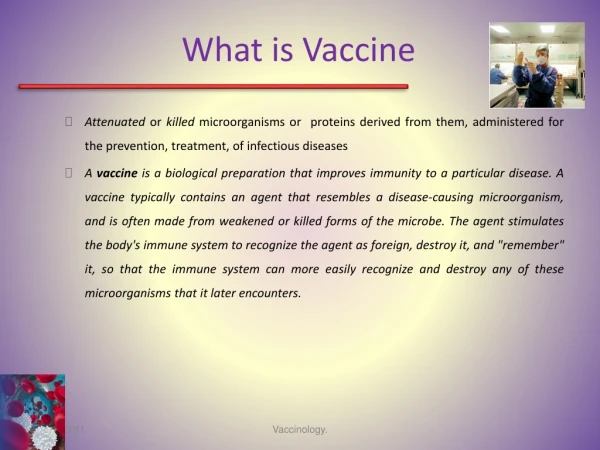 What is Vaccine