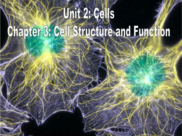 Unit 2: Cells Chapter 3: Cell Structure and Function