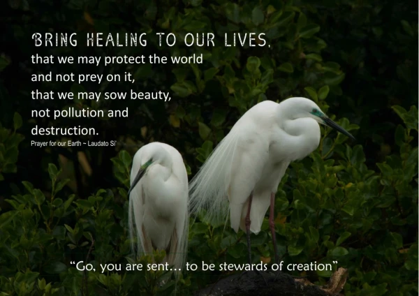 that we may protect the world and not prey on it, that we may sow beauty, not pollution and