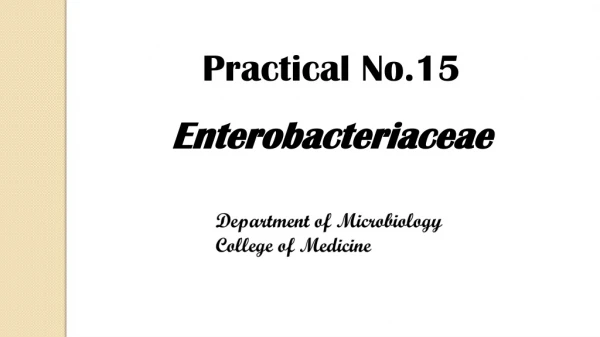 Practical  No.15 Enterobacteriaceae