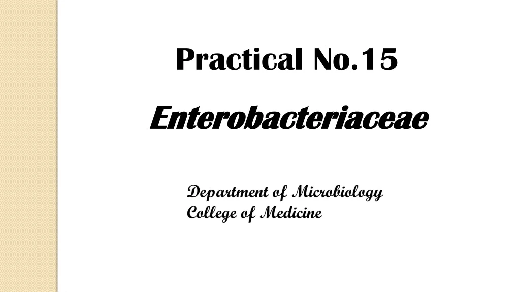 practical no 15 enterobacteriaceae