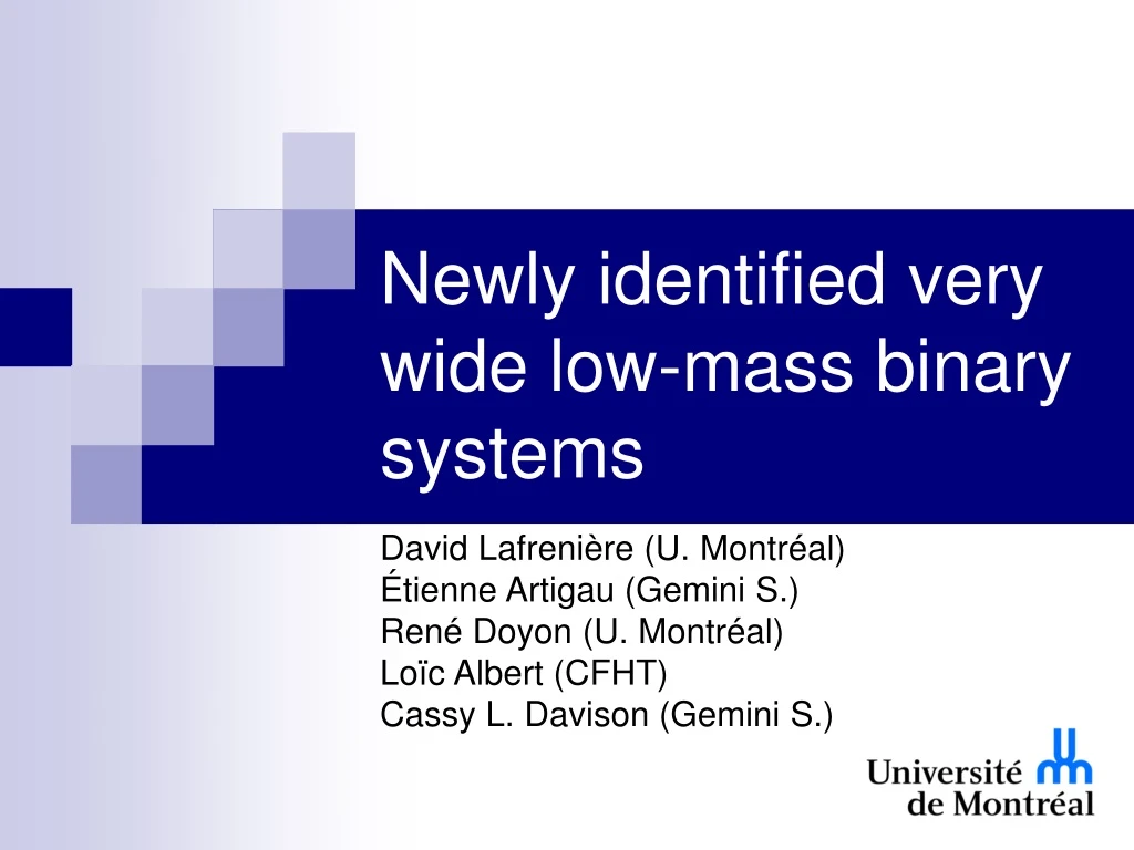 newly identified very wide low mass binary systems