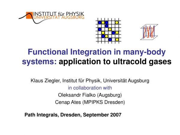 Functional Integration in many-body systems:  application to ultracold gases