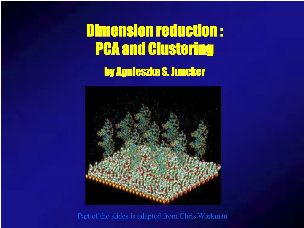 dimension reduction pca and clustering by agnieszka s juncker