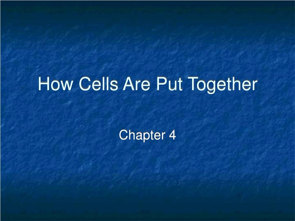 how cells are put together