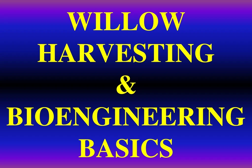 willow harvesting bioengineering basics