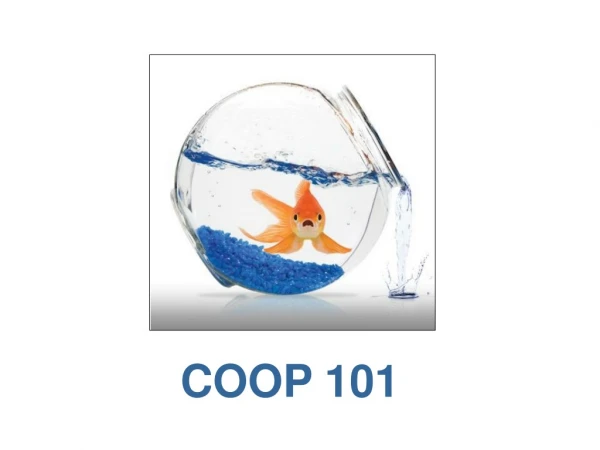 COOP 101