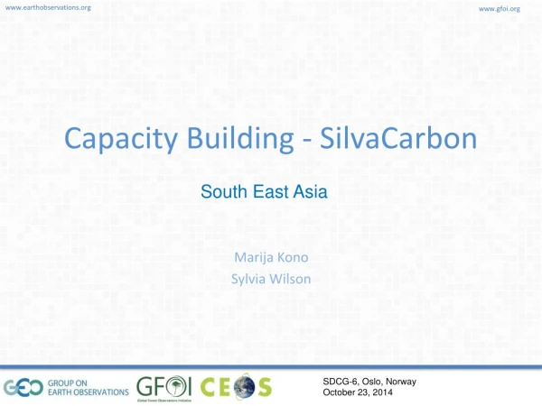 Capacity Building - SilvaCarbon