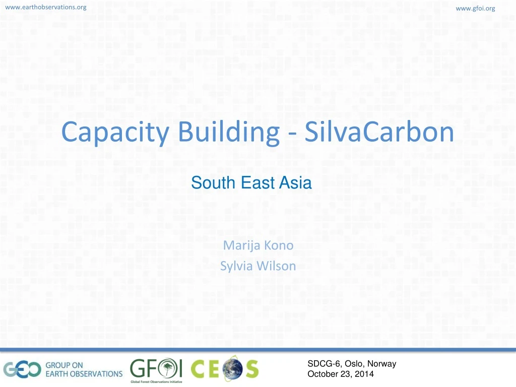 capacity building silvacarbon