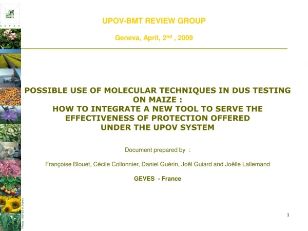 UPOV-BMT REVIEW GROUP Geneva, April, 2 nd  , 2009