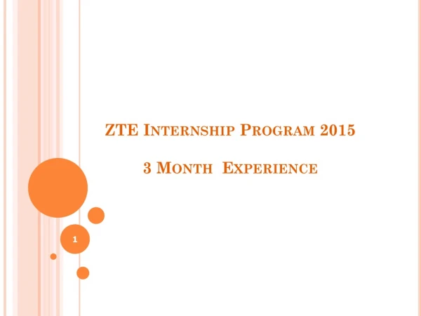 ZTE Internship Program 2015 3 Month  Experience