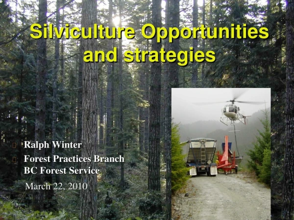 Silviculture Opportunities and strategies