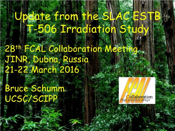 Update from the SLAC ESTB  T-506 Irradiation Study 28 th  FCAL Collaboration Meeting
