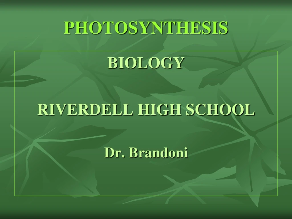 photosynthesis