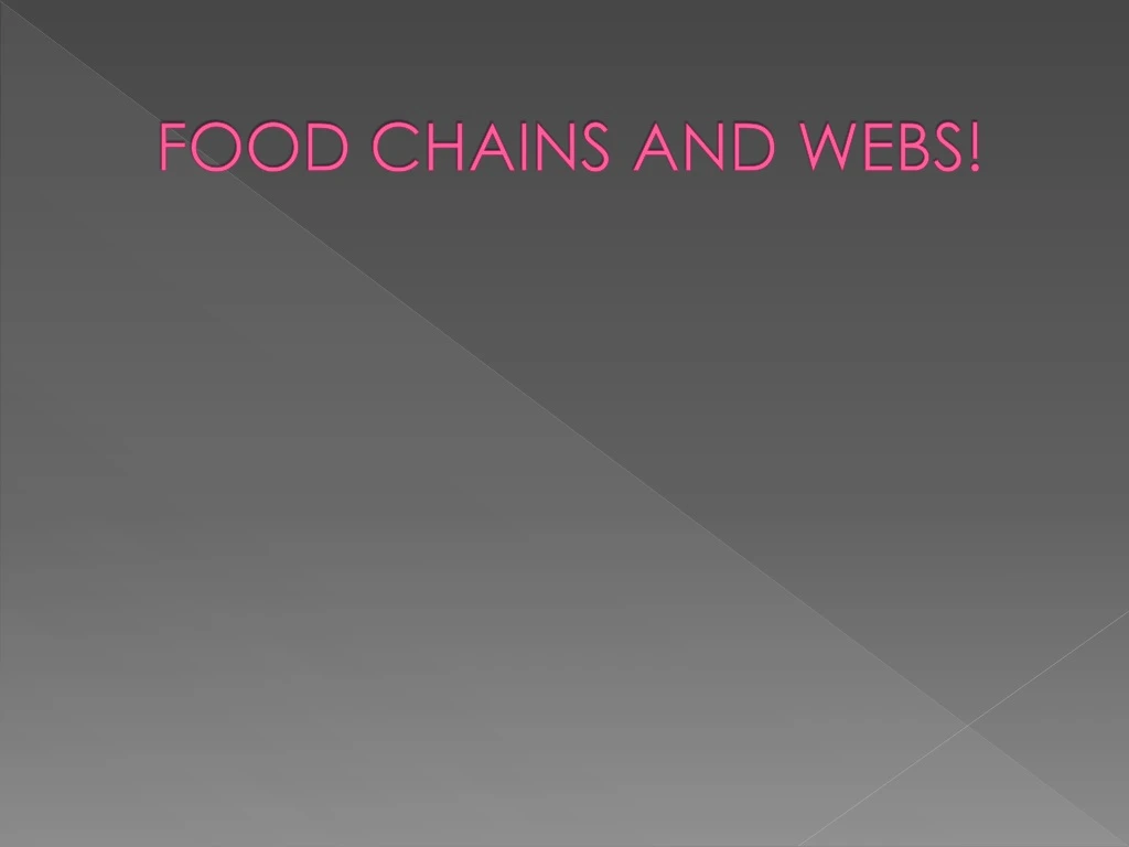 food chains and webs