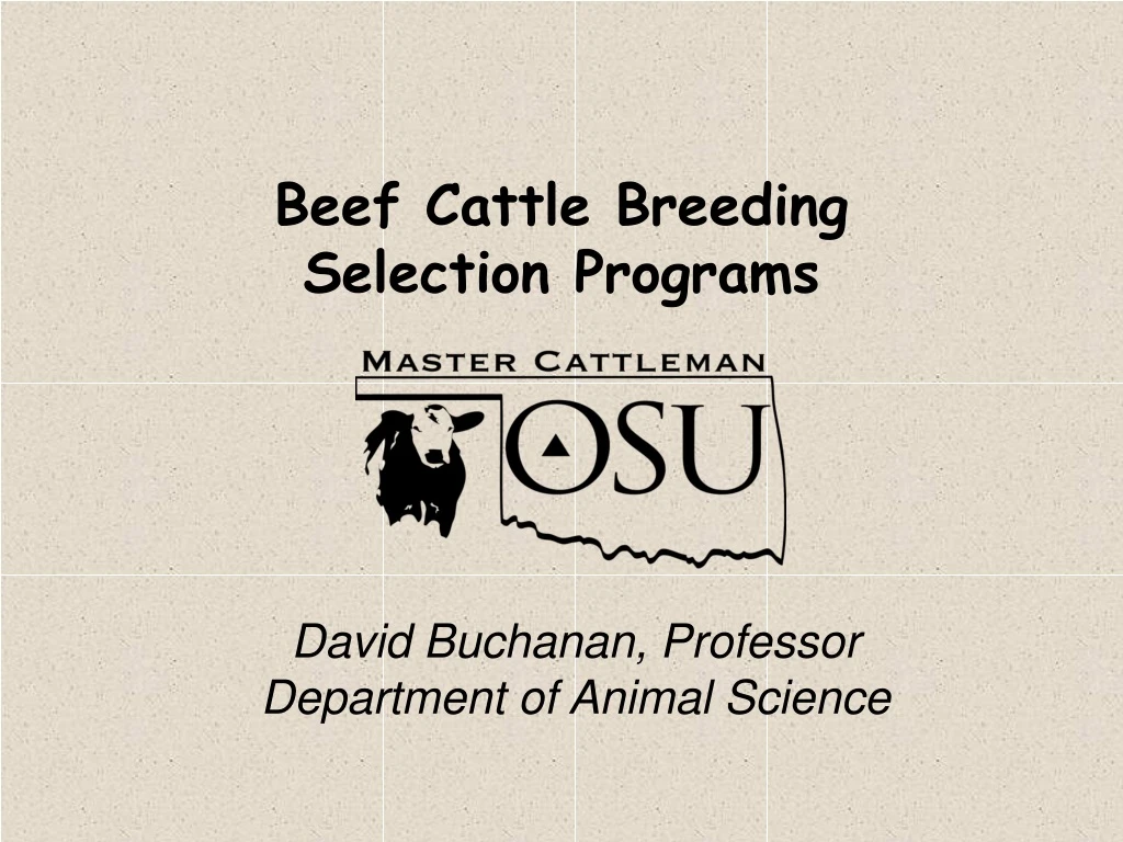 beef cattle breeding selection programs