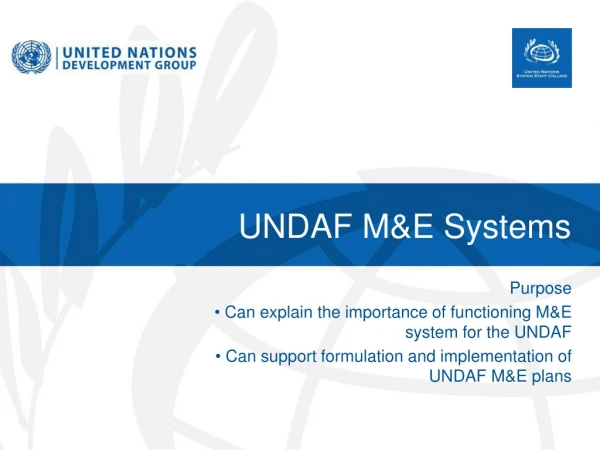 UNDAF M&amp;E Systems