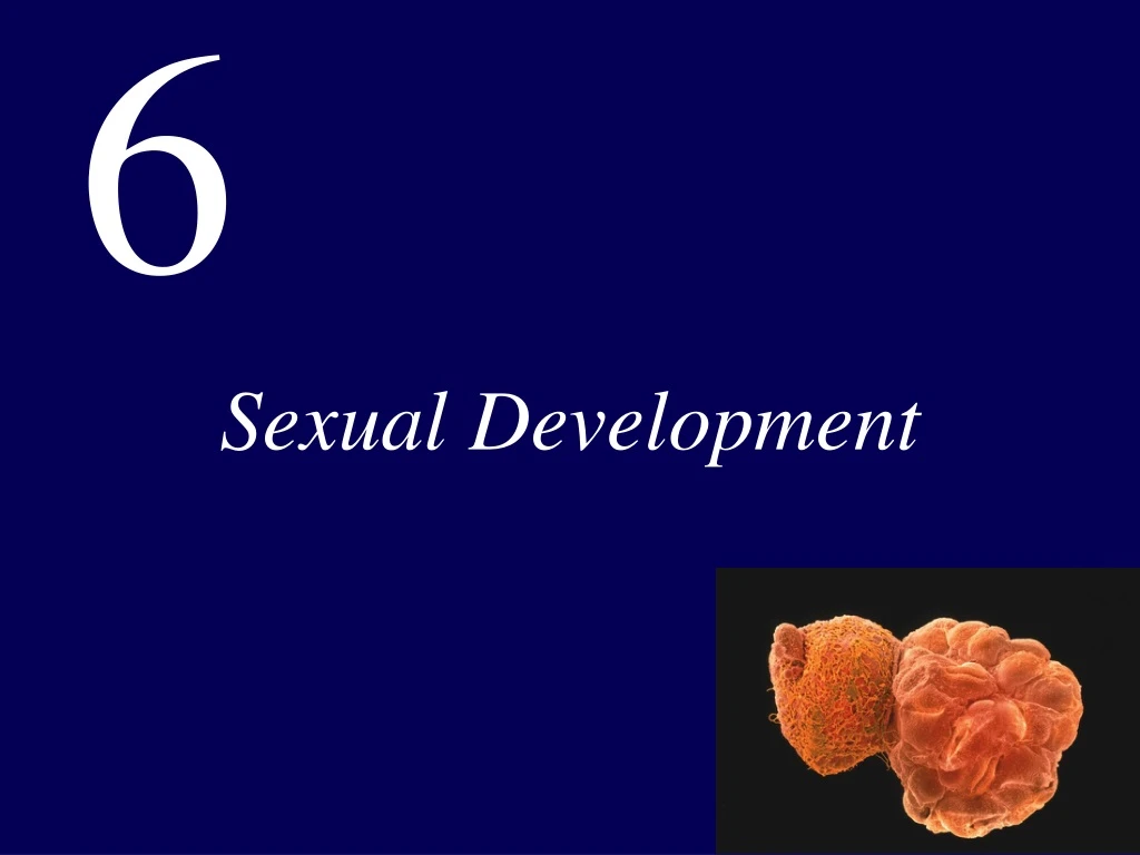 sexual development